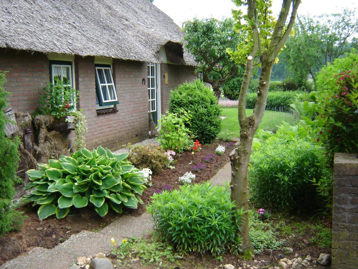 Villa Anton's Erfje Dalfsen Exterior foto