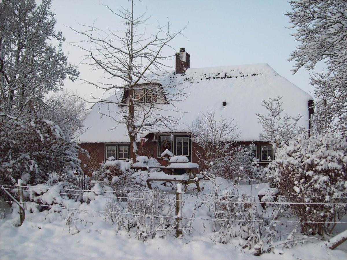 Villa Anton's Erfje Dalfsen Exterior foto